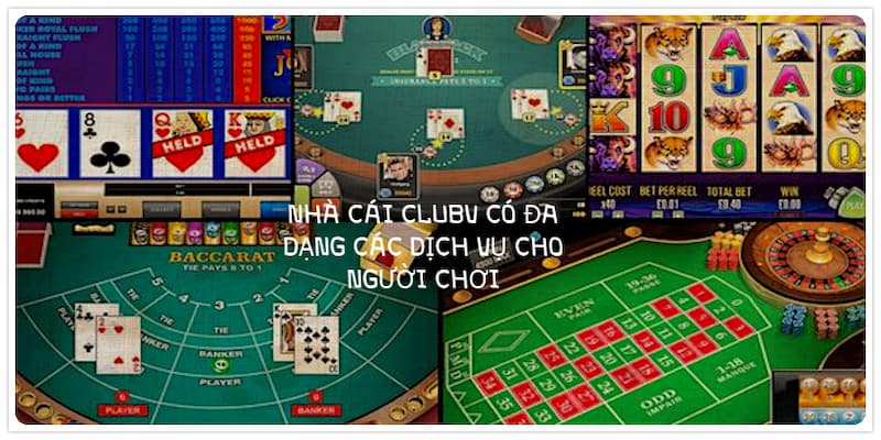 Giới thiệu CLUBV Lĩnh vực hoạt động và dịch vụ mà CLUBV cung cấp