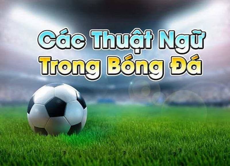 thuật ngữ cá độ bóng đá Giới thiệu tổng quan về các thuật ngữ cá độ bóng đá